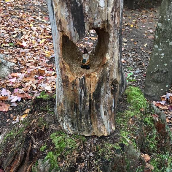 Meet your Posher, Joe - Picture 1 of 1